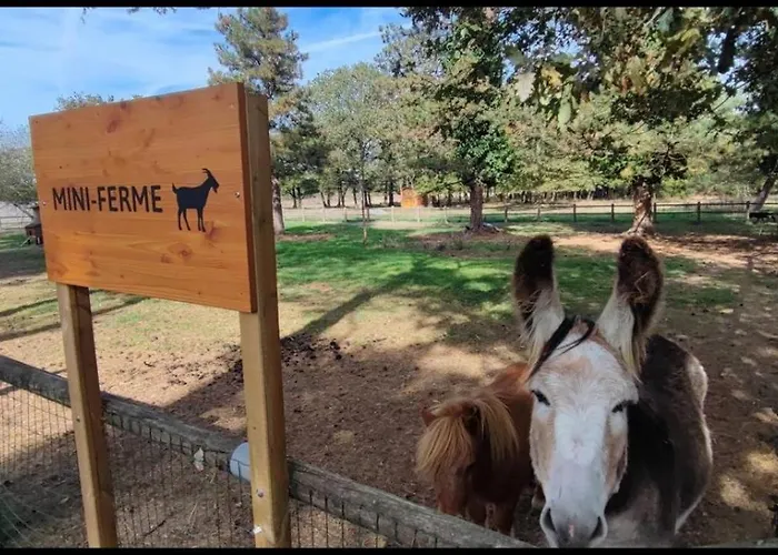 Escale Coeur De Vendee Holiday park La Boissiere-de-Montaigu